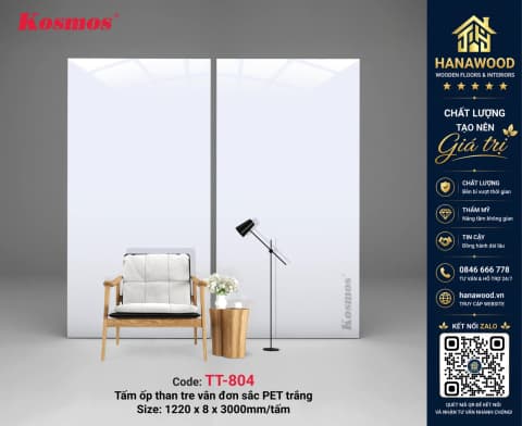 Tấm Ốp Than Tre Kosmos TT-804 Vân Đá PET Trắng sáng không gian