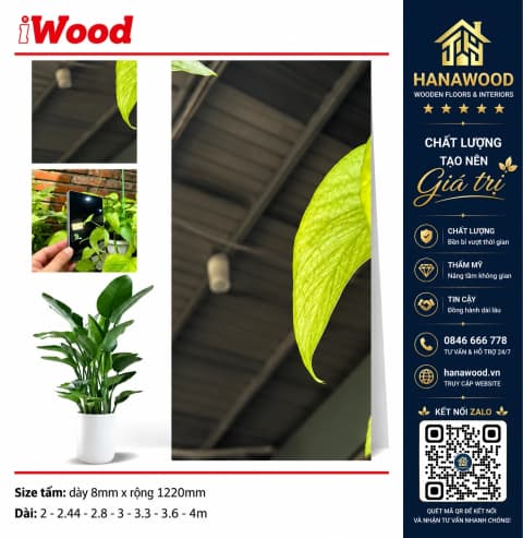 Tấm Than Tre Ốp Tường iWood Film Tráng Gương Bạc