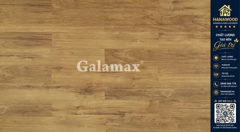 Sàn Gỗ Galamax Giá Rẻ BG222 Dày 8.3mm