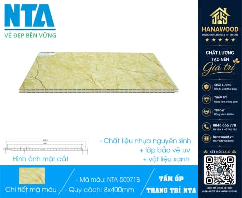 Tấm Nhựa Ốp Tường Nano Vân Đá NTA 50071B