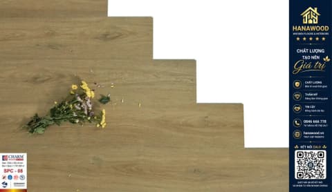 Hình ảnh Sàn Nhựa Vinyl Hèm Khóa Vân Gỗ Charmwood SPC-08